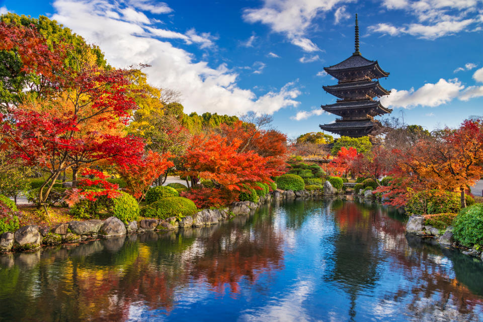 Très populaire au printemps, le Japon est aussi magnifique en automne (Getty Images)