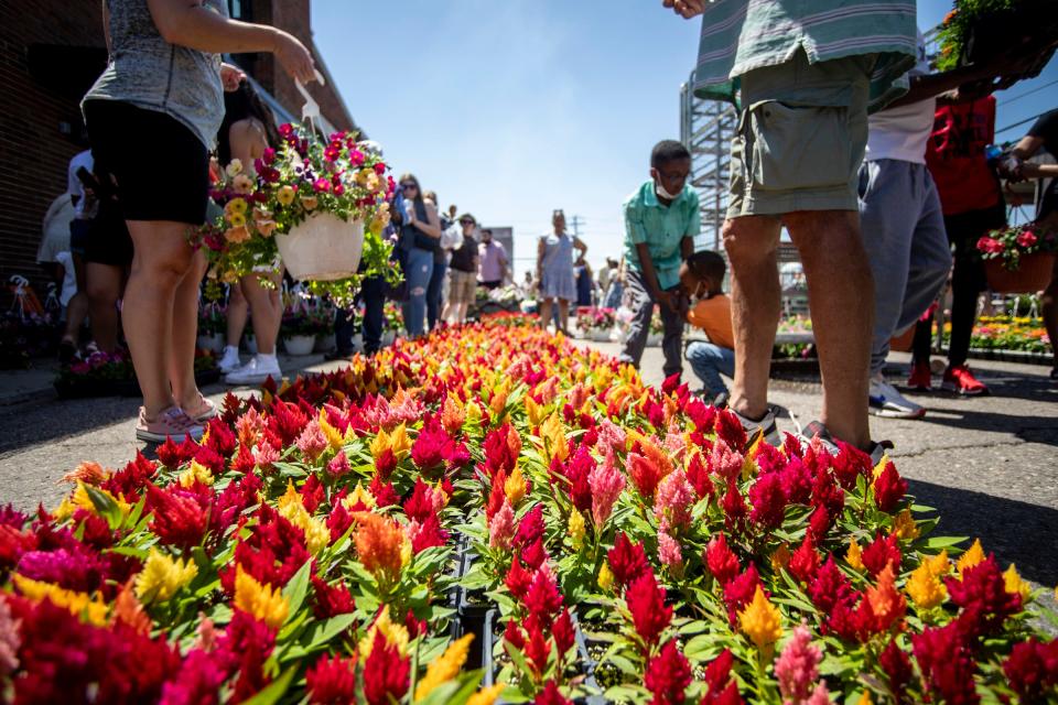 Flowers from Gaier Farms and Greenhouses at Eastern Market in Detroit on Sunday, May 15, 2022.