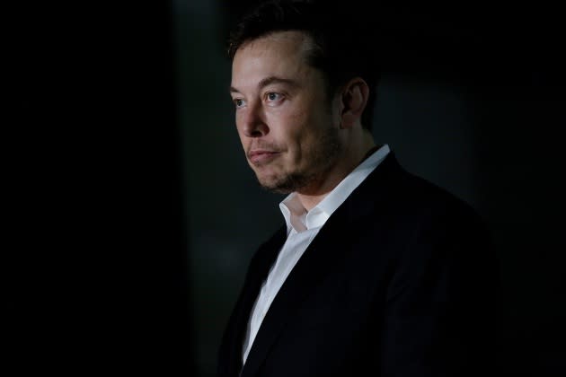 elon-musk-twitter-polls - Credit: Joshua Lott/Getty Images