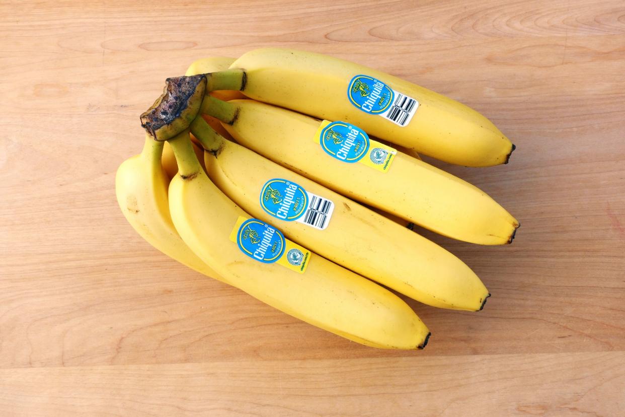 West Palm Beach, USA - August 13, 2015: A bunch of ripe yellow Chiquita bananas from Honduras.  The four top bananas each have a Chiquita sticker attached. One sticker shows certification by the Rain Forest Alliance.