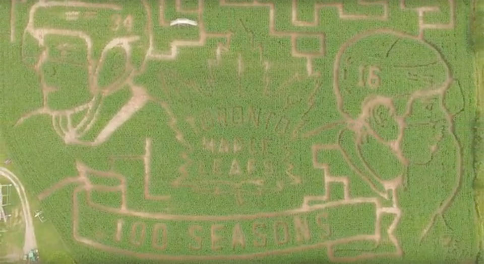 A corn maze featuring the likeness of Maple Leafs’ Auston Matthews and Mitch Marner. (Hunter Brothers Farm)