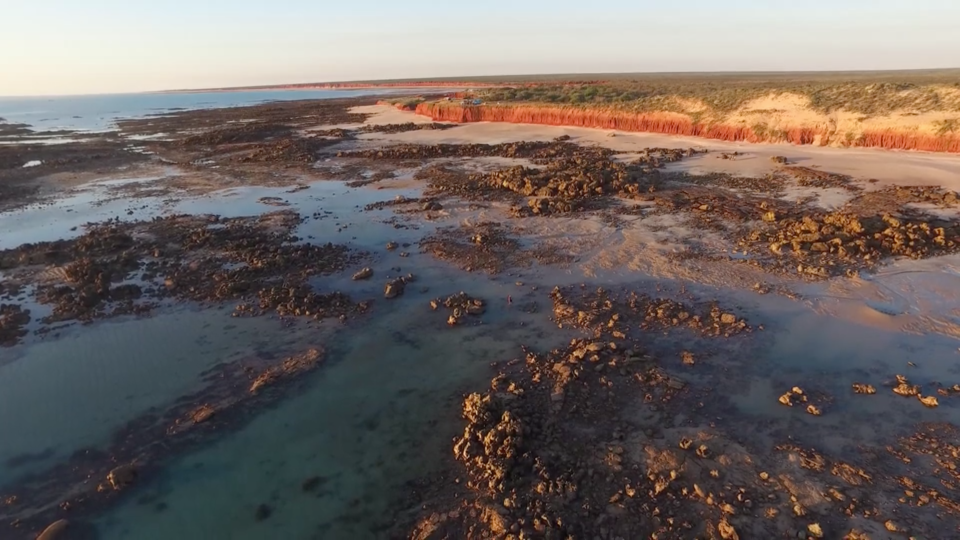 dinosaur australia footprints