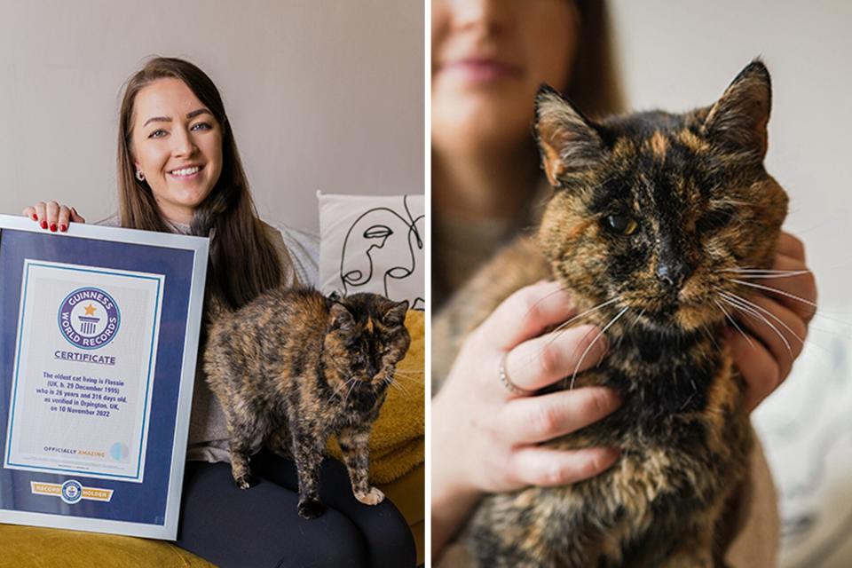 Owner Vicki Green with the oldest cat in the world, Flossie