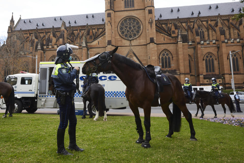 SYDNEY, AUSTRALIA - JULY 31: Police horse Tobruk, of the Mounted Unit of NSW Police Force is seen on patrol in Hyde Park on July 31, 2021 in Sydney, Australia.  The horse was involved in an alleged incident of animal cruelty, for which a protestor has been charged, during a violent anti-lockdown protest in the Sydney CBD on the 24th of July (Photo by Brook Mitchell/Getty Images)