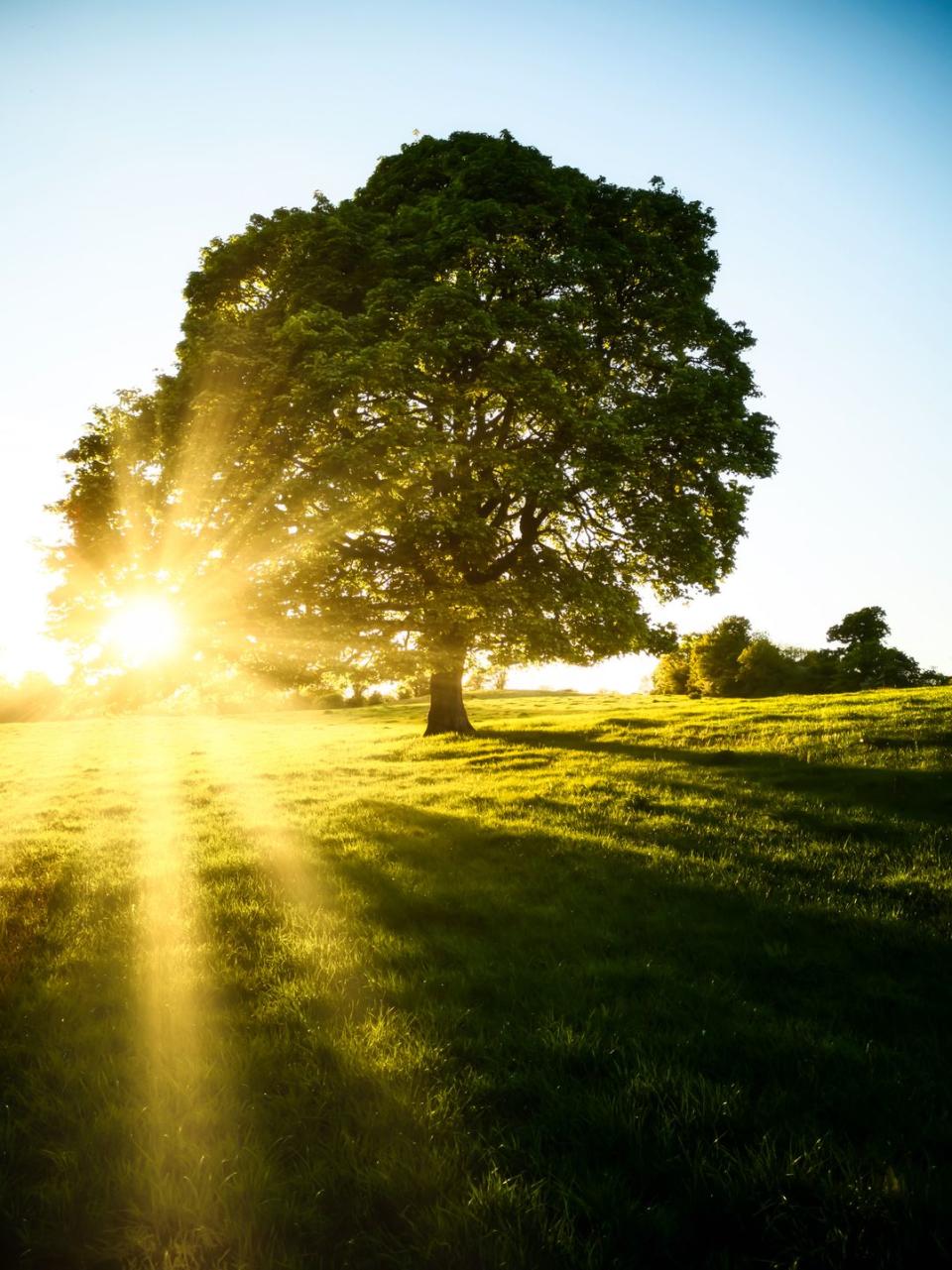 irish blessings may god be with you