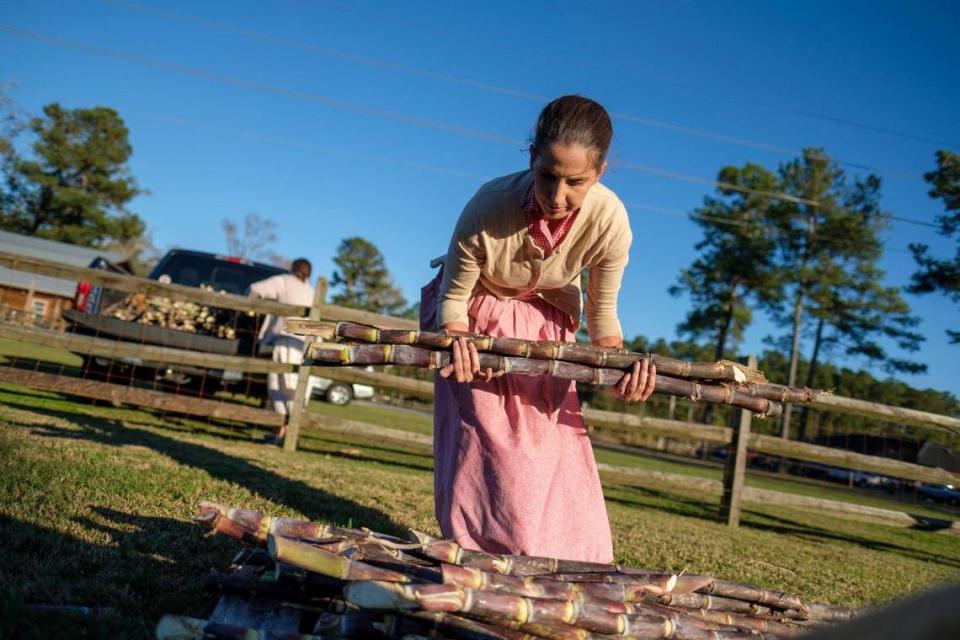 Horry County Museum’s Hillary Winburn stacks sugar cane to be milled at the L.W. Paul Living History Farm. November 17, 2020.