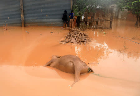 A dead buffalo is seen on a street during the flood after the Xepian-Xe Nam Noy hydropower dam collapsed in Attapeu province, Laos July 26, 2018. REUTERS/Soe Zeya Tun