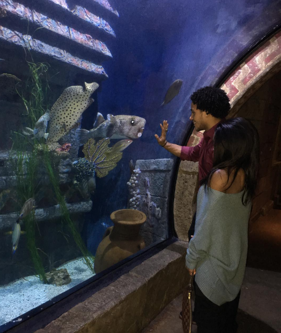 <p>The pair let fans in on their cute “aquarium date” in December. Although they appear serious, Biles has insisted that their careers are the priority for both of them. “<span>We already know in each other’s lives we don’t come first, and that’s OK with the both of us,” she told <a rel="nofollow noopener" href="http://people.com/sports/simone-biles-gets-real-stacey-ervin-relationship/" target="_blank" data-ylk="slk:People;elm:context_link;itc:0;sec:content-canvas" class="link "><em>People</em></a> in September 2017. “So we do what we need to do, and then when we come together it’s fine.” </span>(Photo: <a rel="nofollow noopener" href="https://www.instagram.com/p/BdX-YGfHFer/?hl=en&taken-by=simonebiles" target="_blank" data-ylk="slk:Simone Biles via Instagram;elm:context_link;itc:0;sec:content-canvas" class="link ">Simone Biles via Instagram</a>) </p>