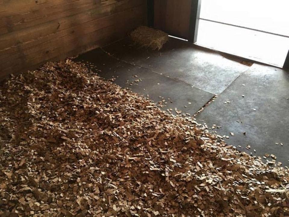 Large amount of animal bedding inside a stable.