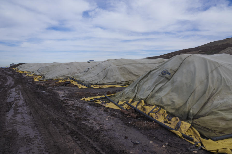 Tons of compost piles are monitored while they are cured at the Otay Landfill in Chula Vista, Calif., on Friday, Jan. 26, 2024. Two years after California launched an effort to keep organic waste out of landfills, the state is so far behind on getting food recycling programs up and running that it's widely accepted next year's ambitious waste-reduction targets won't be met. (AP Photo/Damian Dovarganes)