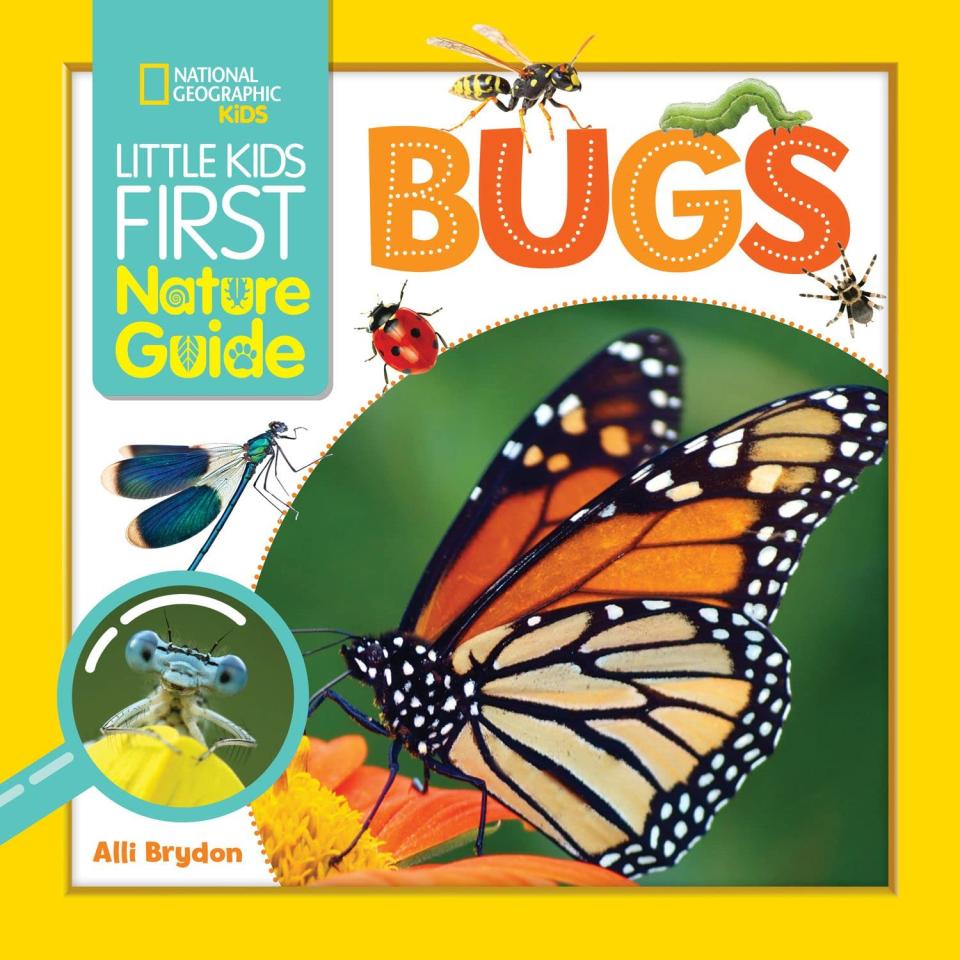 National Geographic Kids -- Bugs Little First Nature Guide