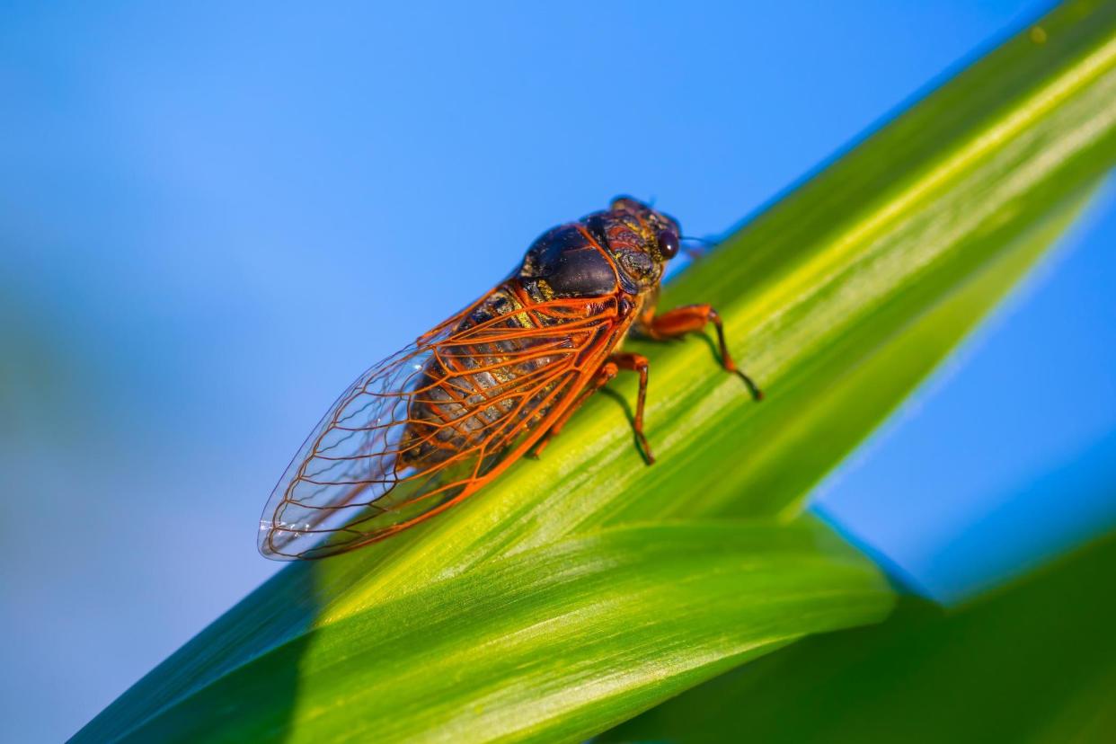 Getty Images/iStockphoto