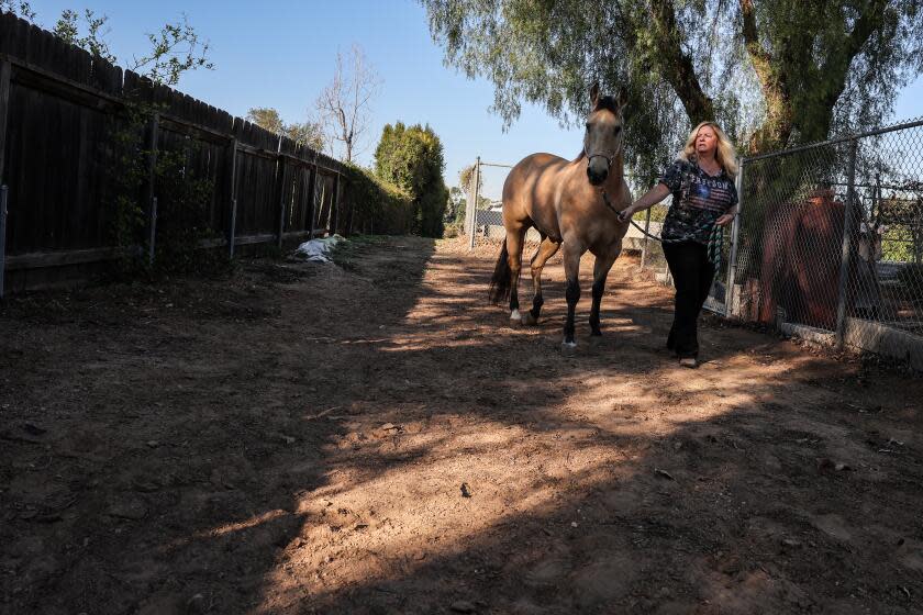 Yorba Linda, CA, Friday, January 21, 2022 - Yorba Linda resident Dee Dee Friedrich walks with Wyatt on a horse trail near her home. (Robert Gauthier/Los Angeles Times)