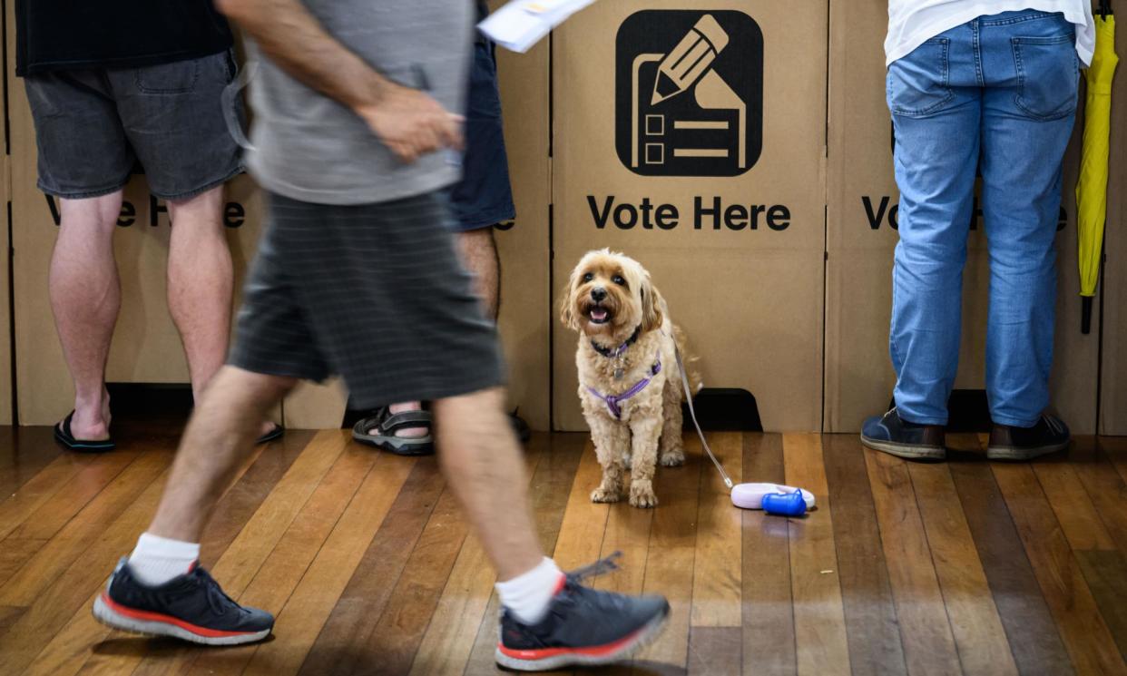 <span>Fallout over the council election blunder is leaking into the federal domain, with the opposition leader, Peter Dutton, keen to ensure the organisation is fit to fight the next election.</span><span>Photograph: James Gourley/AAP</span>