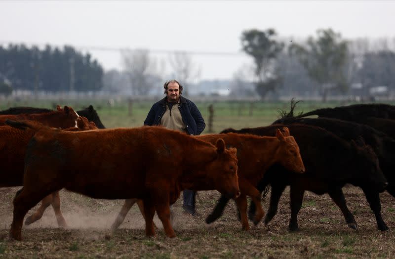 Argentine farmers lay out political expectations before presidential primaries