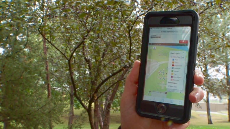 Looking for free fruit? Edmonton's new online map may be the apple of your eye