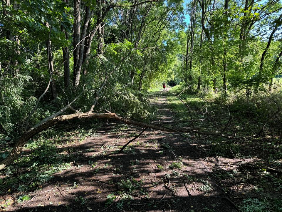 A downed tree blocks a recreation path near Burlington, Vermont, on Saturday morning, Aug. 10, 2024. The remnants of Debby swept through northwestern Vermont Friday with rain and high winds.