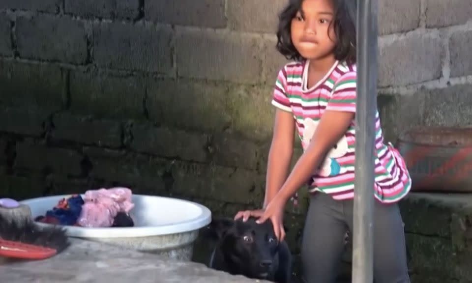 A little girl holds a terrified dog before the animal is taken away to be slaughtered. Source: Animals Australia