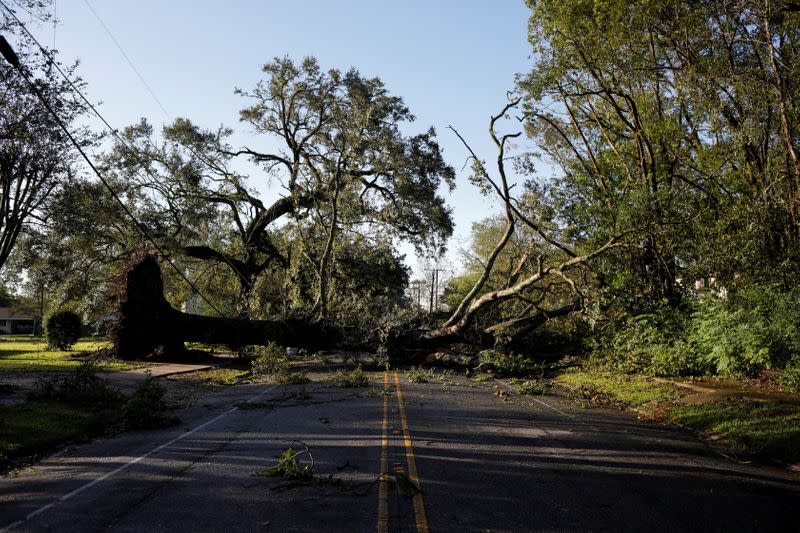 A tree that was blown down after Hurricane Delta is seen blocking a street in Jennings