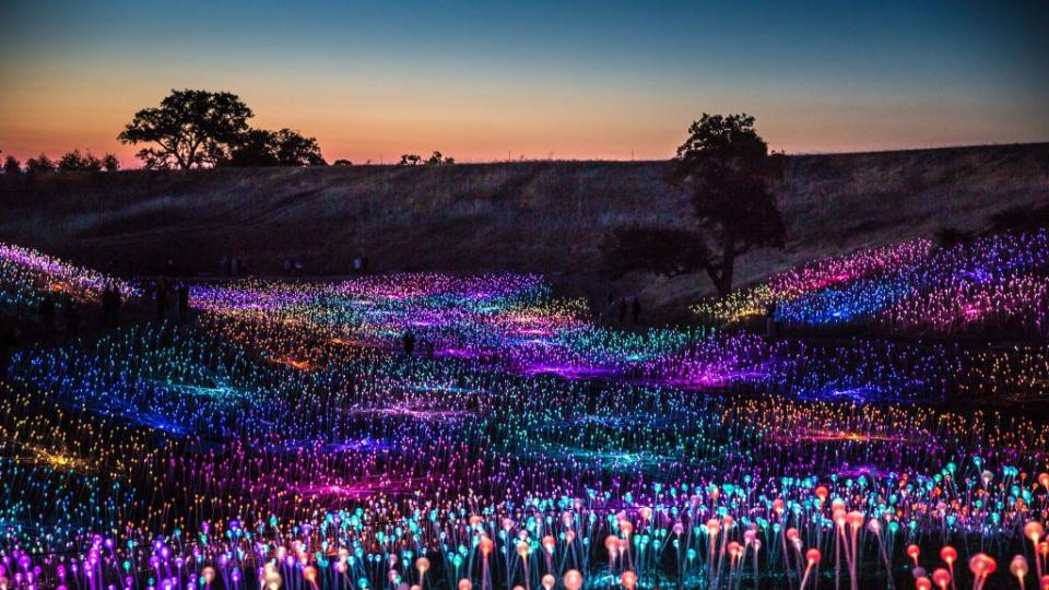 exploring the field of light at sensorio