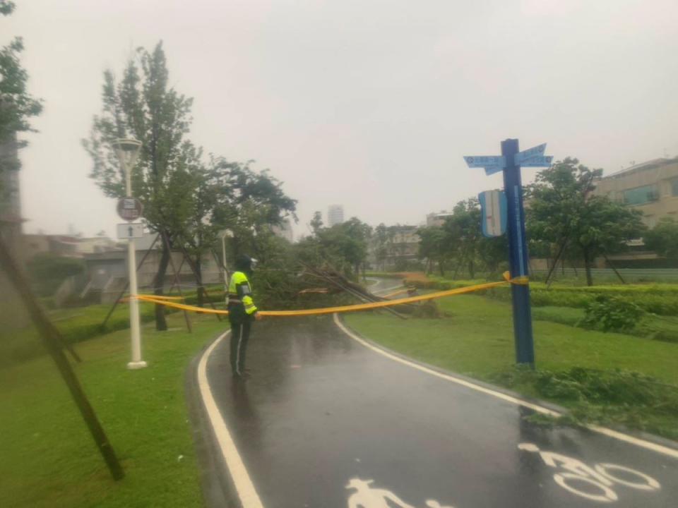 鳳山一處路樹倒塌，壓傷騎微型電動機車路過的騎士，警方隨後圍起封鎖線。（圖：鳳山分局提供）