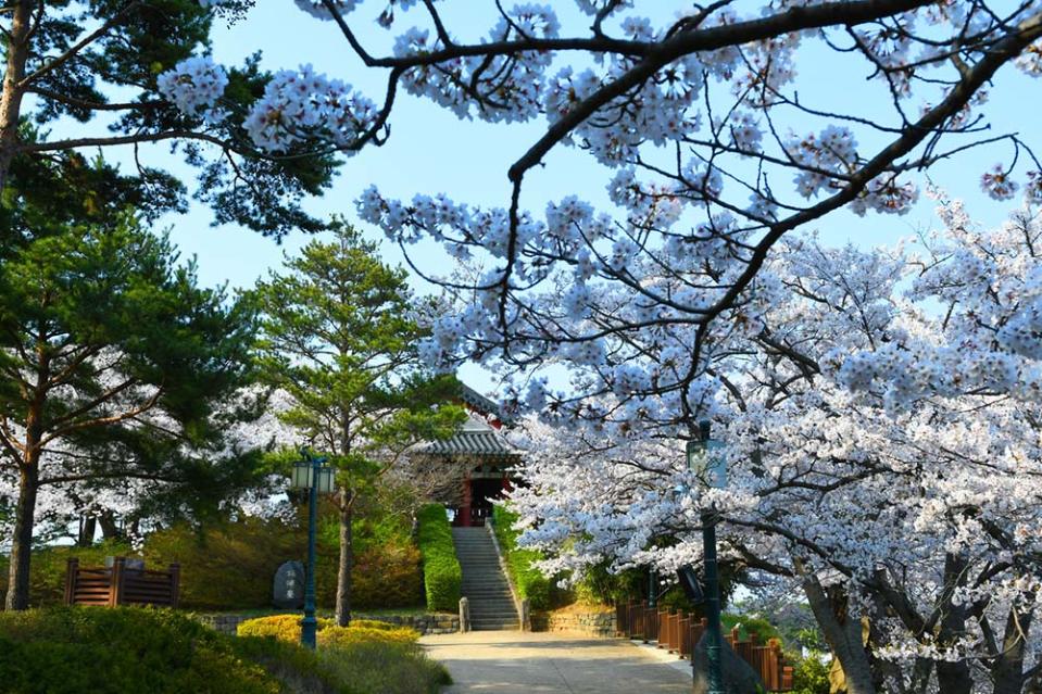 鏡浦臺（Photo by Gangwon Office, 韓國觀光公社提供）