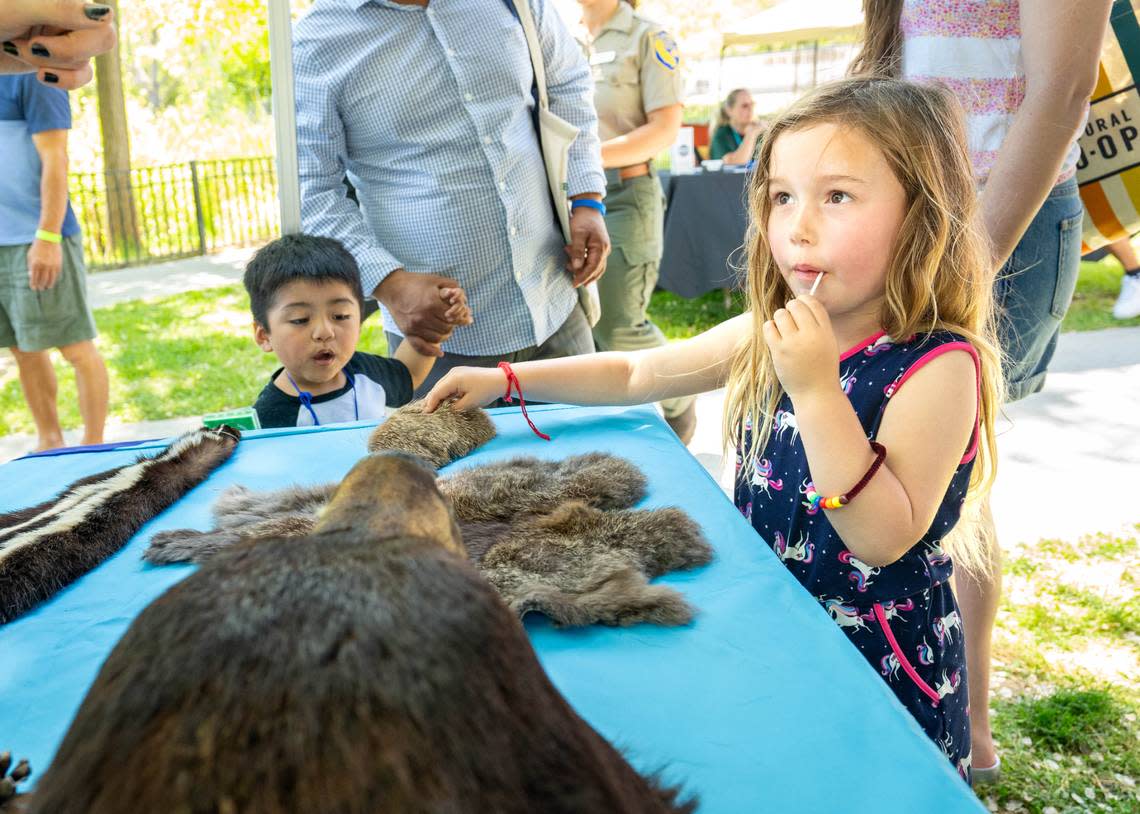Eleanor Pagan feels animal fur at the California Department of Fish And Wildlife booth at the Sacramento Earth Day celebration at Southside Park on Sunday.