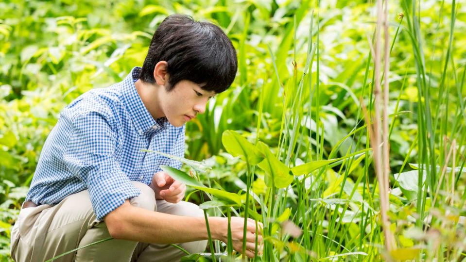 日本皇室悠仁親王6日滿18歲，成為成年皇族。美聯社