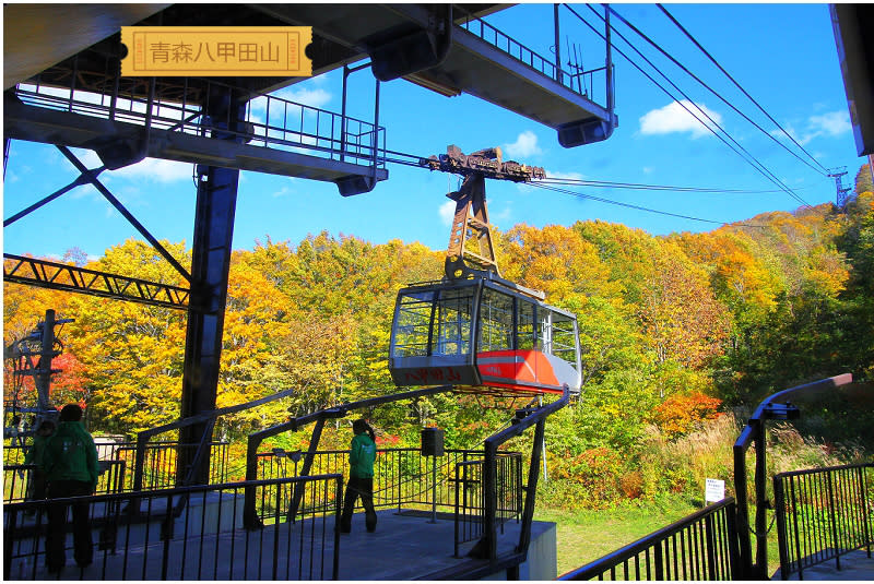 八甲田山紅葉絕景