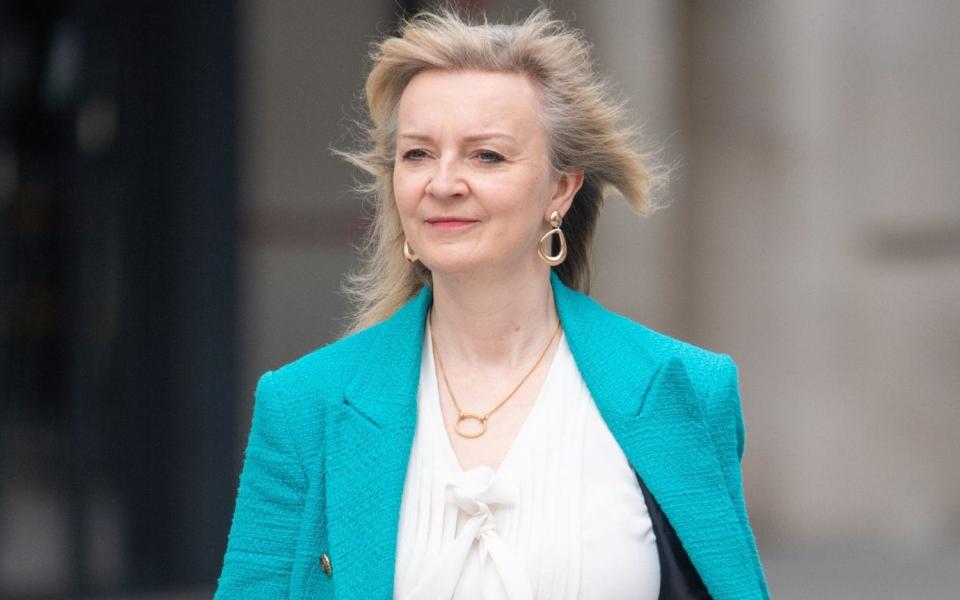 Liz Truss has urged all government departments to withdraw from the Stonewall scheme - Dominic Lipinski/PA