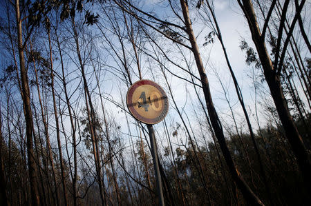 A burnt speed limit sign is seen after a forest fire in Miro, near Penacova, Portugal, October 17, 2017. REUTERS/Pedro Nunes