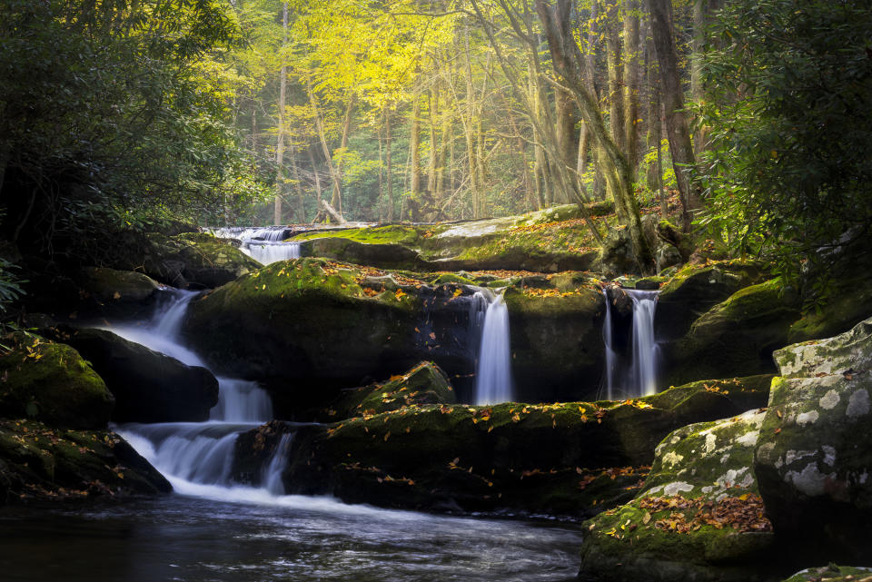 waterfalls in a stream in the great smoky mountains national park