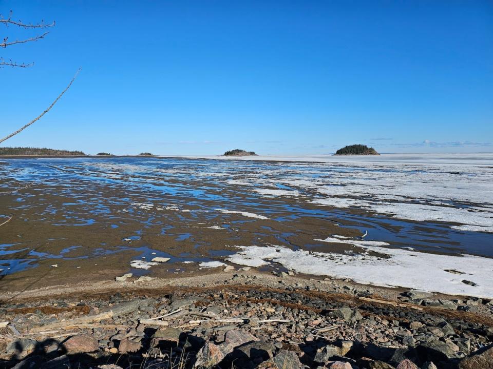 Community members say the water is so low in the bay of Fort Chipeywan, Alta. they're concerned boats could get stuck during emergency evacuations.