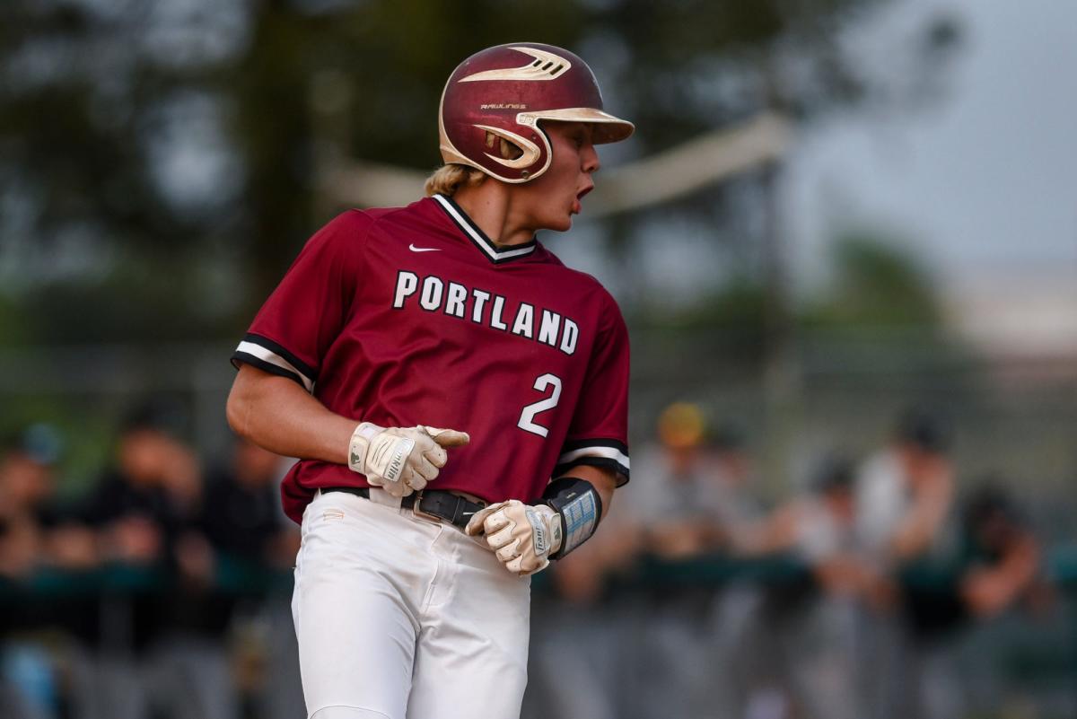 Williamston vs. Portland St. Patrick baseball