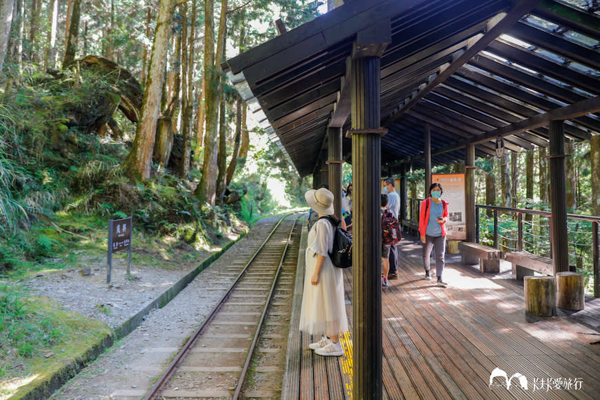 宜蘭太平山蹦蹦車之旅