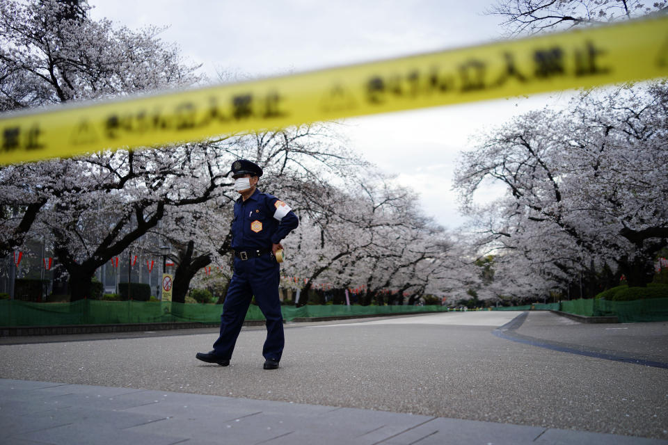 FILE - In this March 27, 2020, file, photo, a security person stands guard at the famed street of cherry blossoms which is closed as a safety precaution against the new coronavirus at Ueno Park in Tokyo. Before the Olympics were postponed, Japan looked like it had coronavirus infections contained, even as they spread in neighboring countries. Now that the games have been pushed to next year, Tokyo’s cases are spiking, and the city's governor is requesting that people stay home, even hinting at a possible lockdown. (AP Photo/Eugene Hoshiko, File)