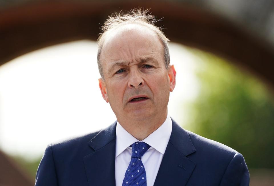 A flight carrying Irish premier Micheal Martin to New York for the UN General Assembly was forced to return to Ireland due to a bird strike (Brian Lawless/PA) (PA Wire)