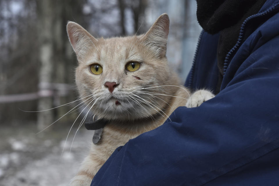 A man holds a cat rescued after a Russian missile hit an apartment house during a Thursday night missile attack in Zaporizhzhia, Ukraine, Friday, March 3, 2023. At least five people were killed. (AP Photo/Andriy Andriyenko)
