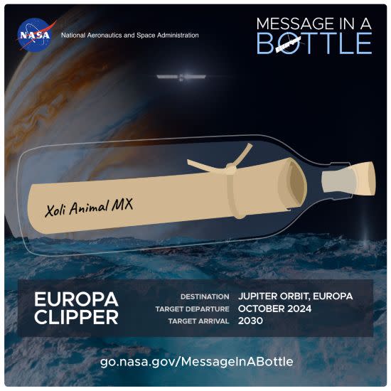 Puedes enviar tu nombre a Júpiter con la sonda Europa Clipper