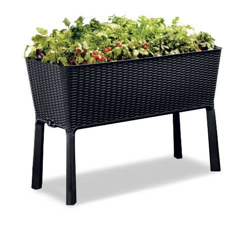 9) Keter Raised Garden Bed with Self Watering Planter Box