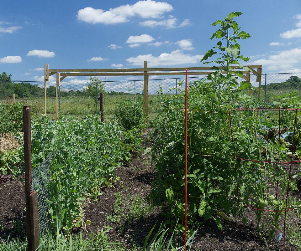 The Aurora Community Garden is located at the Margaret Harmon Property, 1157 Page Road.