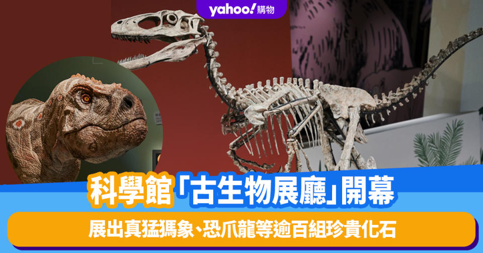 香港好去處｜科學館全新常設展廳「古生物展廳」開幕！展出真猛獁象、恐爪龍等逾百組珍貴化石、與機械恐龍互動