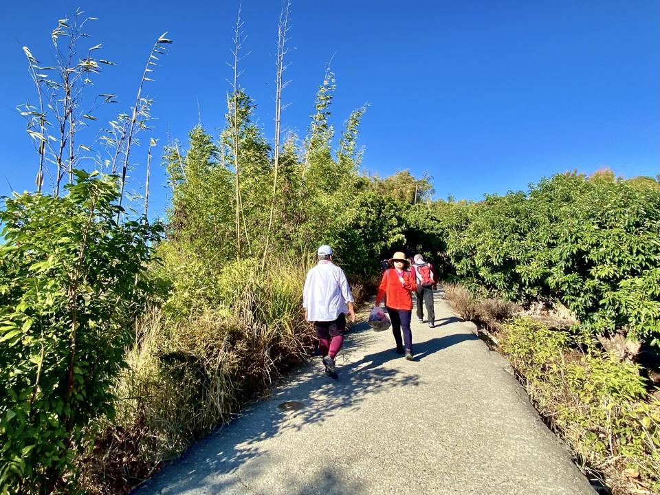 大坑九號步道平坦好走   圖：台中市觀旅局／提供