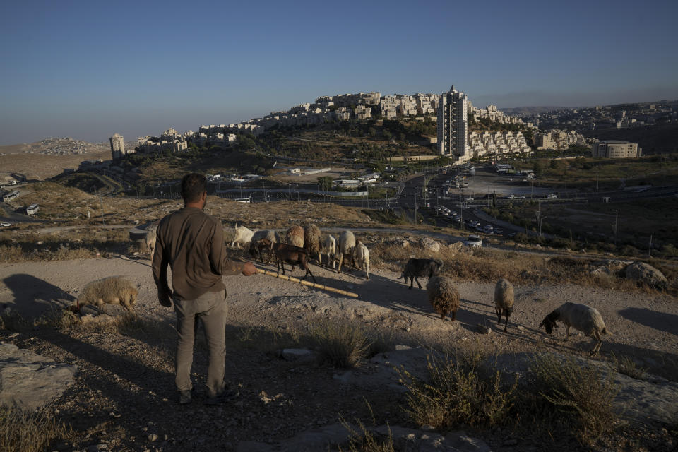 A Palestinian shepherd herds his flock back-dropped by Har Homa, an Israeli settlement in east Jerusalem that Israel considers a neighborhood of its capital, July 6, 2022. For more than two years, the Biden administration has said that Palestinians are entitled to the same measure of “freedom, security and prosperity” enjoyed by Israelis. Instead, they've gotten U.S. aid and permits to work inside Israel and its Jewish settlements. The inconsistency is likely to come up when President Joe Biden visits Israel and the occupied West Bank this week for the first time since assuming office. (AP Photo/Mahmoud Illean)