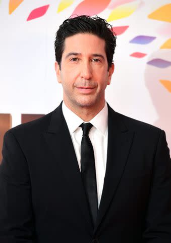 Ian West/PA Images via Getty David Schwimmer