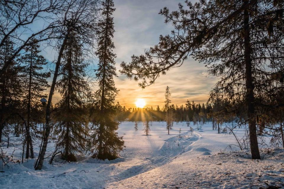 <p>La Finlande célèbrera les 100 ans de son indépendance en 2017 et fêtera l'occasion en organisant des festivités et en proposant des journées « nature » tout au long de l'année ainsi que des évènements culinaires mensuels. Découvrez une partie de l'héritage unique du pays lors des championnats du monde de ski nordique à Lahti en février ou admirez les œuvres du célèbre auteur finlandais Tove Jansson au nouveau musée Moomin Museum qui ouvrira ses portes en mai. Wexas Travel propose un voyage de cinq jours <a href="http://t.umblr.com/redirect?z=https%3A%2F%2Fwww.wexas.com%2Fitinerary-offers%2Fglass-igloos-and-northern-lights-134297&t=NjAxZjM1OGI4OTZlZGYwNDJkNWIwZDUwMmNmYjhkYjZhMjM2M2VlZCxmYVdQY2ZETg%3D%3D&b=t%3A3GQRWvGoXC8cI1rWYFhR-A&m=1" rel="nofollow noopener" target="_blank" data-ylk="slk:dans un igloo de verre;elm:context_link;itc:0;sec:content-canvas" class="link ">dans un igloo de verre</a> à partir de £1,075 (environ 1 200 €), vols compris. <i>[Photo : Flickr / <a href="http://t.umblr.com/redirect?z=https%3A%2F%2Fwww.flickr.com%2Fphotos%2Fmtrienke%2F&t=MjNkMjU5MGM3ZDI2OGRjMjI1Y2I5ZDk0NmUyNjdiOGY0YzkzNjdjZCxmYVdQY2ZETg%3D%3D&b=t%3A3GQRWvGoXC8cI1rWYFhR-A&m=1" rel="nofollow noopener" target="_blank" data-ylk="slk:Markus Trienke;elm:context_link;itc:0;sec:content-canvas" class="link ">Markus Trienke</a>]</i></p>