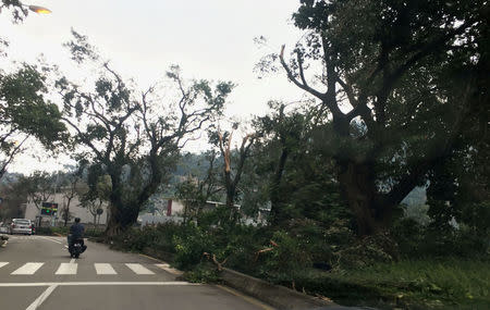 Fallen trees and debris are seen on a road following Typhoon Hato in Macau, China, August 24, 2017 in this picture obtained from social media. Karen Yung via REUTERS