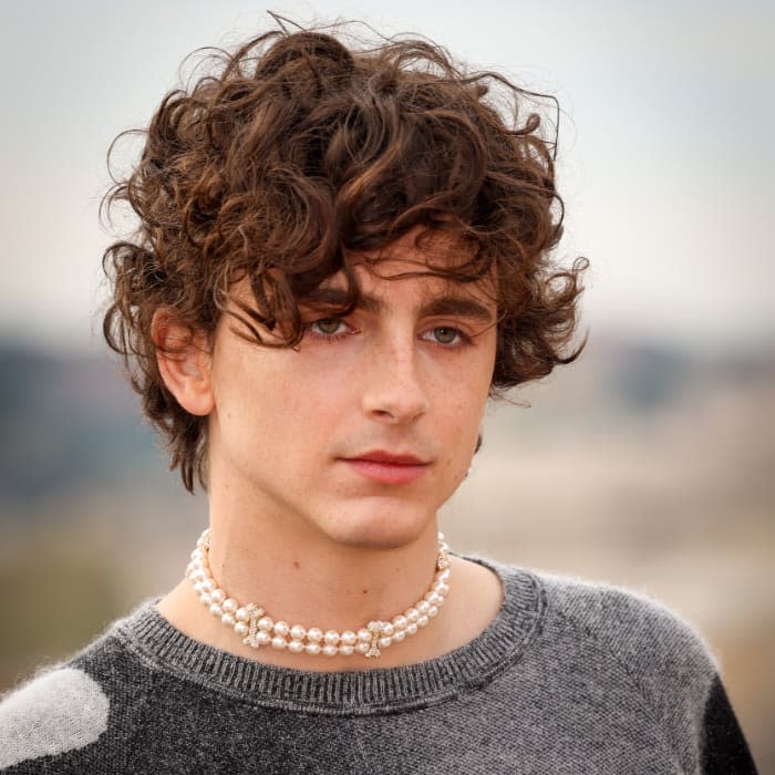 Timothée Chalamet