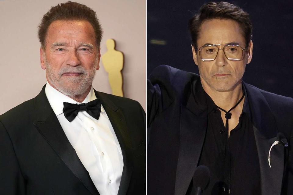 <p>Jeff Kravitz/FilmMagic; CAROLINE BREHMAN/EPA-EFE/Shutterstock </p> Arnold Schwarzenegger; Robert Downey Jr.