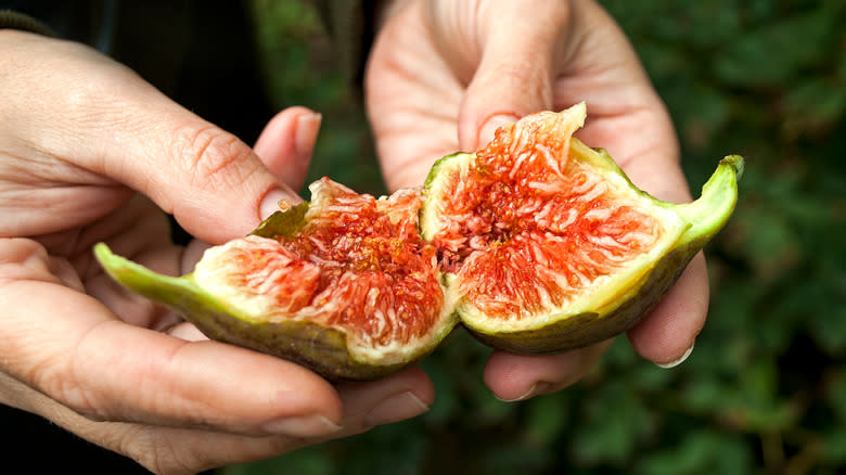 Person holding a fig